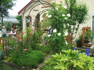 DSCF5377.JPG