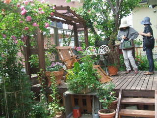 DSCF5413.JPG