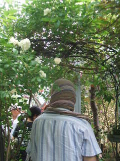 DSCF5435.JPG