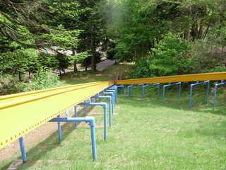 P5290009.JPG