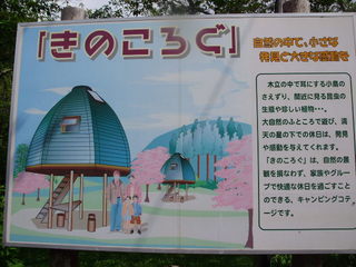 P5290013.JPG