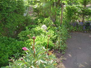 P6050005.JPG