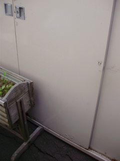 P6050015.JPG