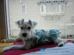 Dscn0640.jpg