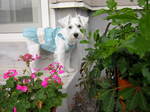 Dscn0633.jpg