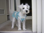 Dscn0630.jpg