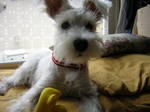 Dscn0729.jpg