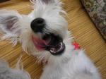 Dscn0722.jpg