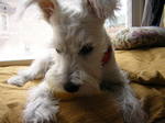 Dscn0728.jpg
