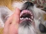 Dscn0720.jpg