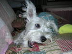 Dscn0732.jpg