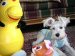 Dscn0736.jpg