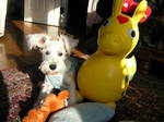 Dscn0737.jpg