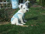 Dscf7483.jpg