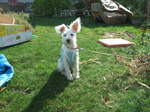 Dscf7495.jpg