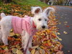 Dscn0789.jpg
