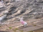 Dscn0786.jpg