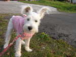 Dscn0784.jpg