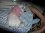 Dscn0797.jpg
