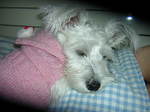 Dscn0798.jpg