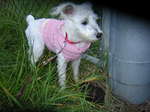 Dscn0795.jpg