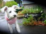 Dscn0808.jpg