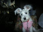 Dscn0801.jpg