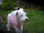 Dscn0807.jpg