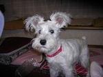 Dscn0822.jpg