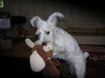 Dscn0816.jpg