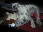 Dscn0819.jpg