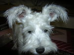 Dscn0821.jpg