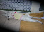Dscn0809.jpg