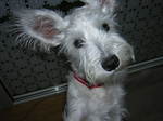 Dscn0834.jpg