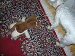 Dscn0831.jpg
