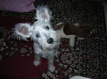 Dscn0833.jpg
