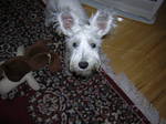 Dscn0829.jpg