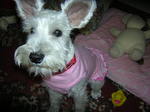 Dscn0880.jpg