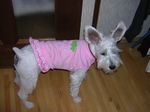 Dscn0876.jpg