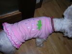 Dscn0877.jpg