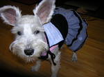 Dscn0871.jpg