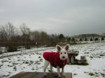 Dscn0902.jpg