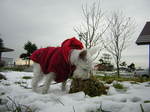 Dscn0894.jpg