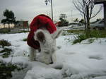 Dscn0893.jpg