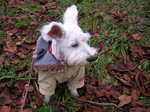 Dscn0924.jpg