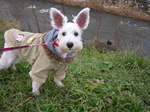 Dscn0922.jpg