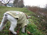 Dscn0923.jpg